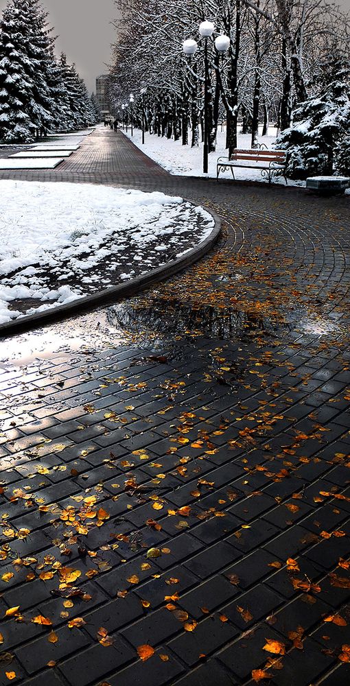 Первый снег