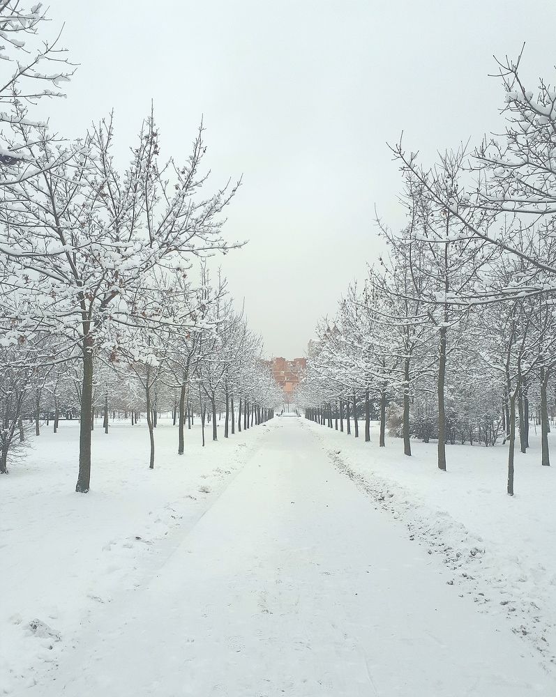 Красивая пора.