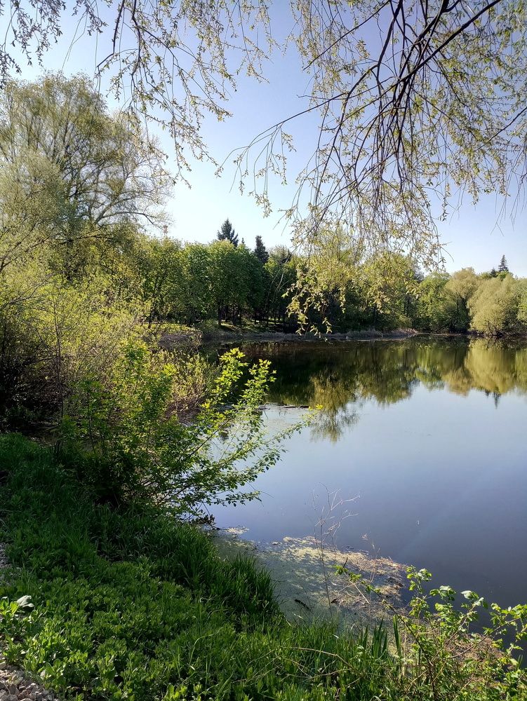 Майский день