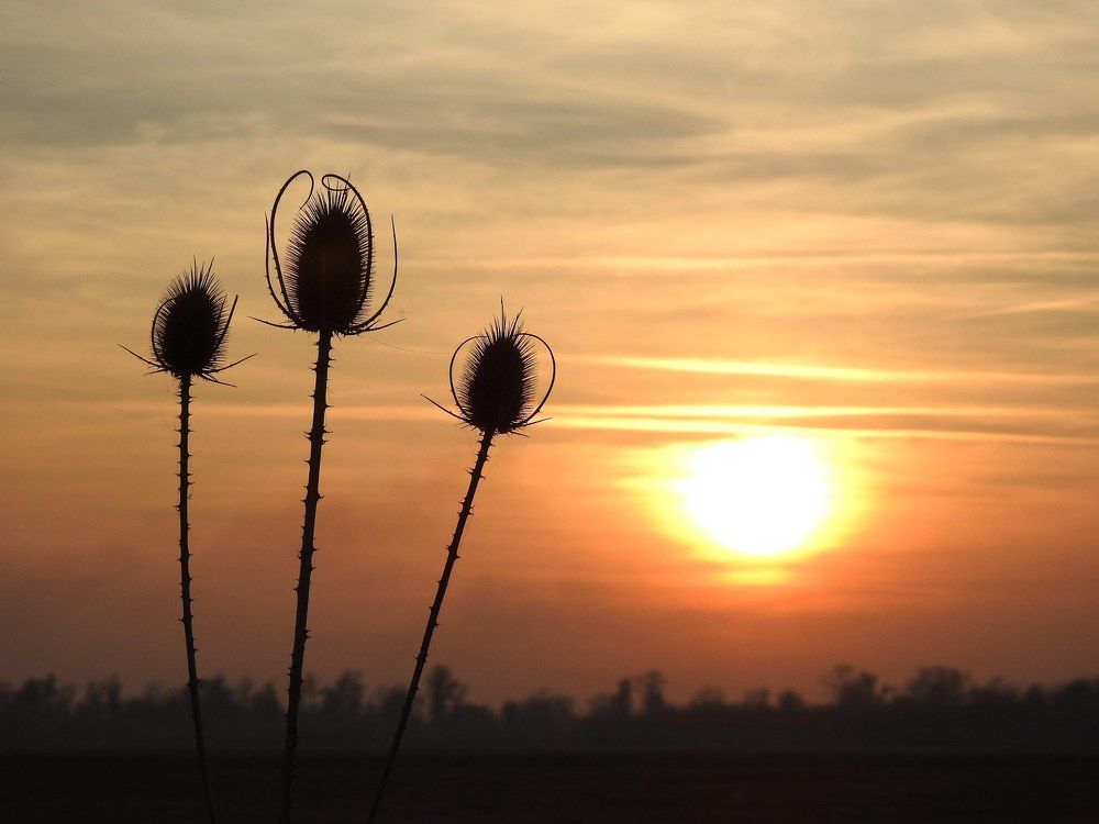 Photograph by Laza Andreea