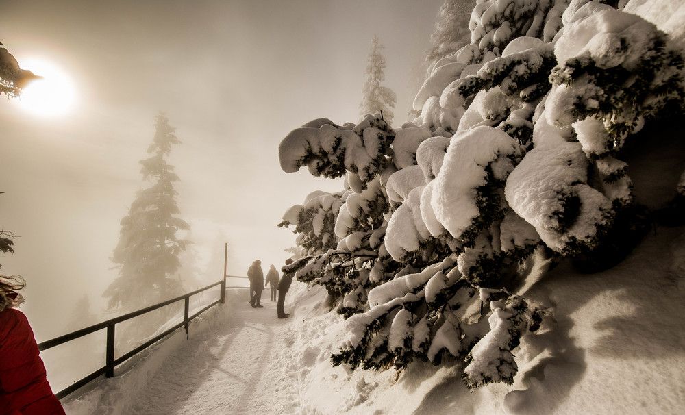 Туман на высоте 1800м