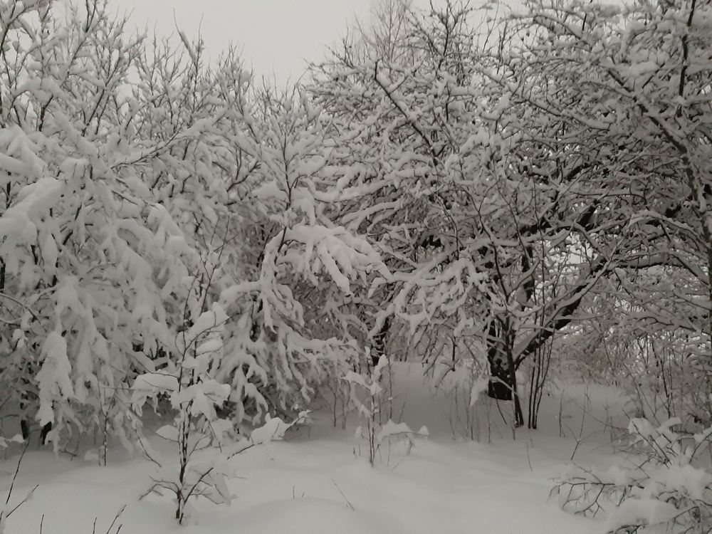 Photograph by Юлия