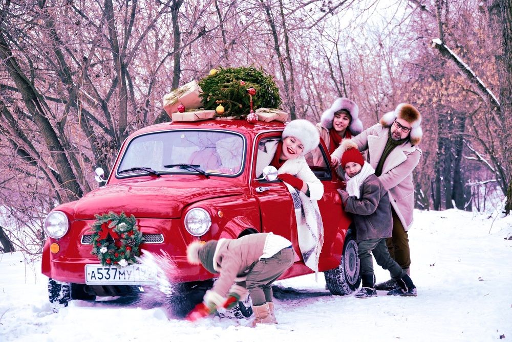 Семейное Рождество в Простоквашино