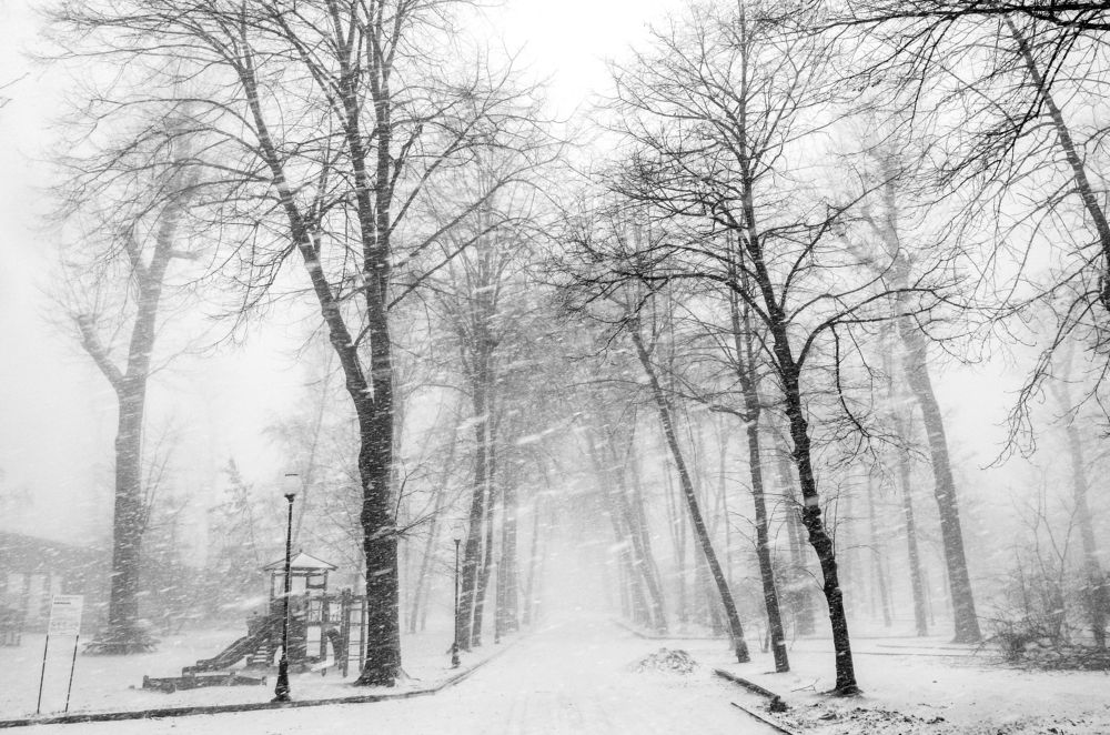 Photograph by Михаил