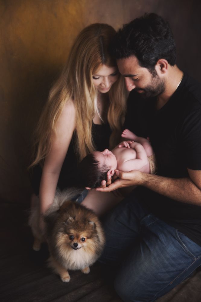 Новая радость