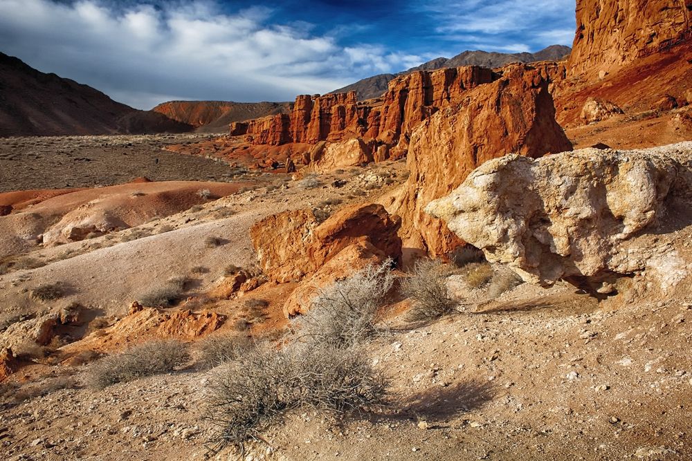 В поисках динозавров...