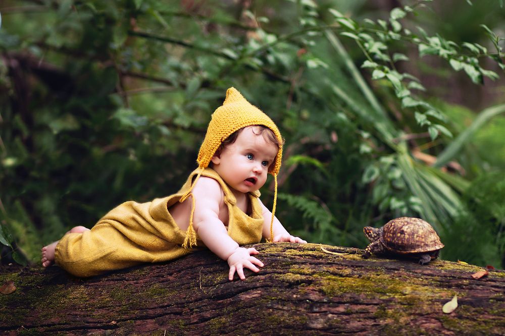 Baby and the turtle