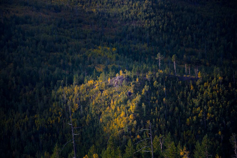 Небесный прожектор