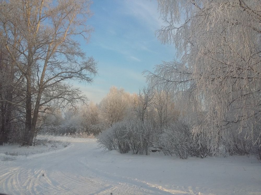Мороз и солнце