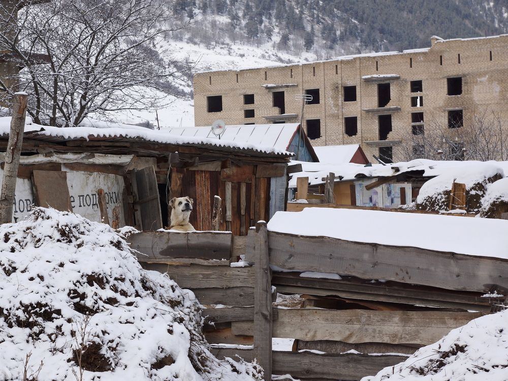 обитатель города-курорта