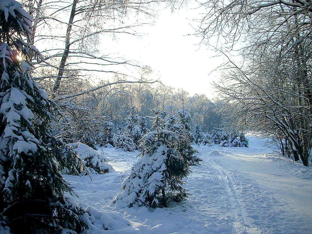 Лыжня