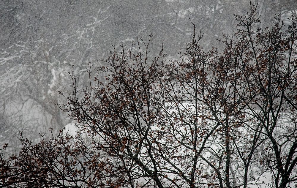 ...Белый снег. Ветер, ветер! На ногах не стоит человек. Ветер, ветер – На всем божьем свете! А. Блок.