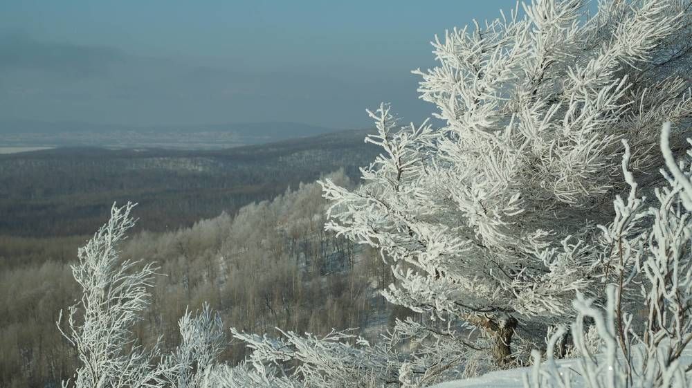 Photograph by Иван Кирилков