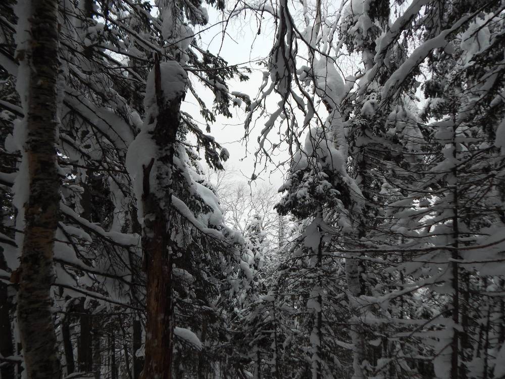 Photograph by Иван Кирилков