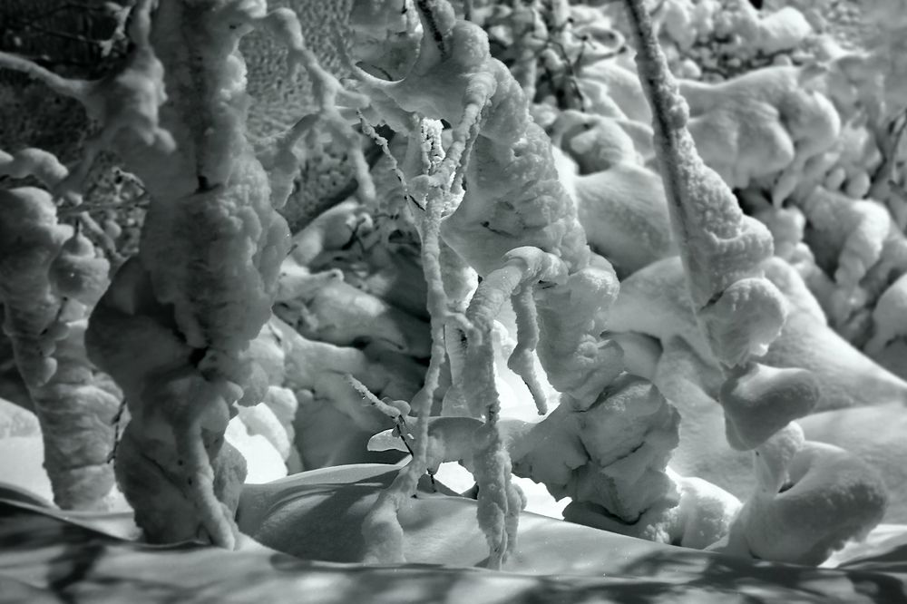 Зимняя сказка