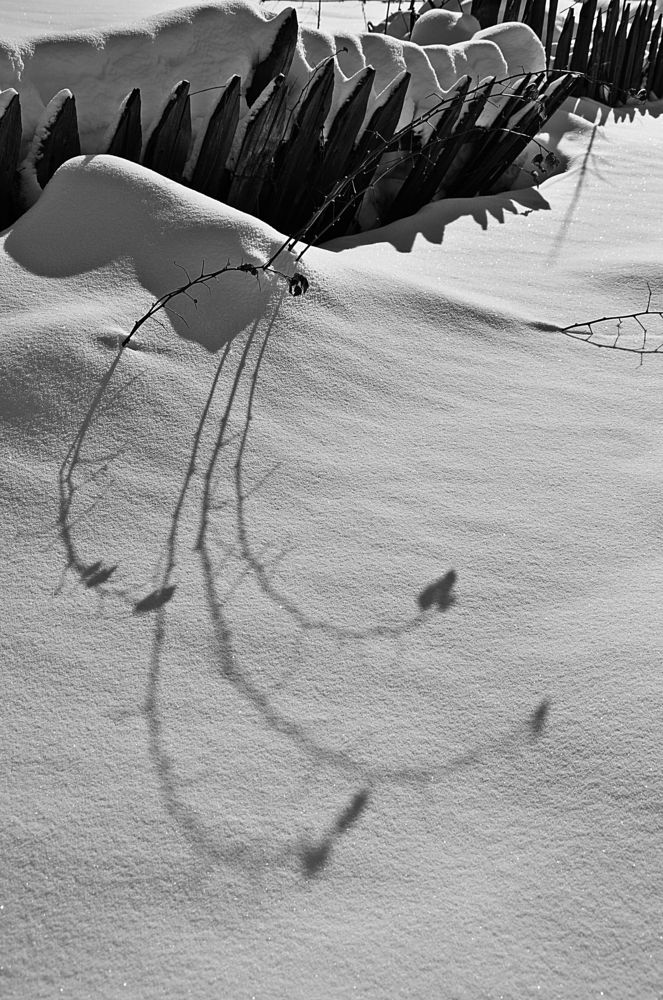 Снег и тени