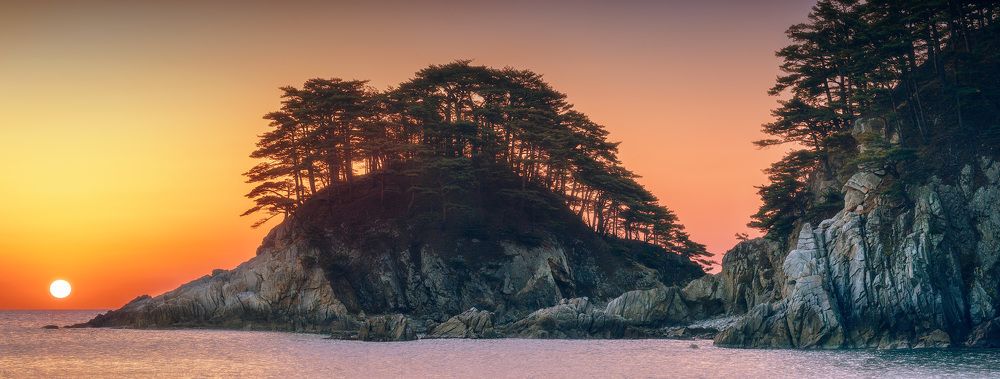 Watching the sunrise.