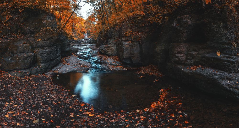 Metamorphoses of October.