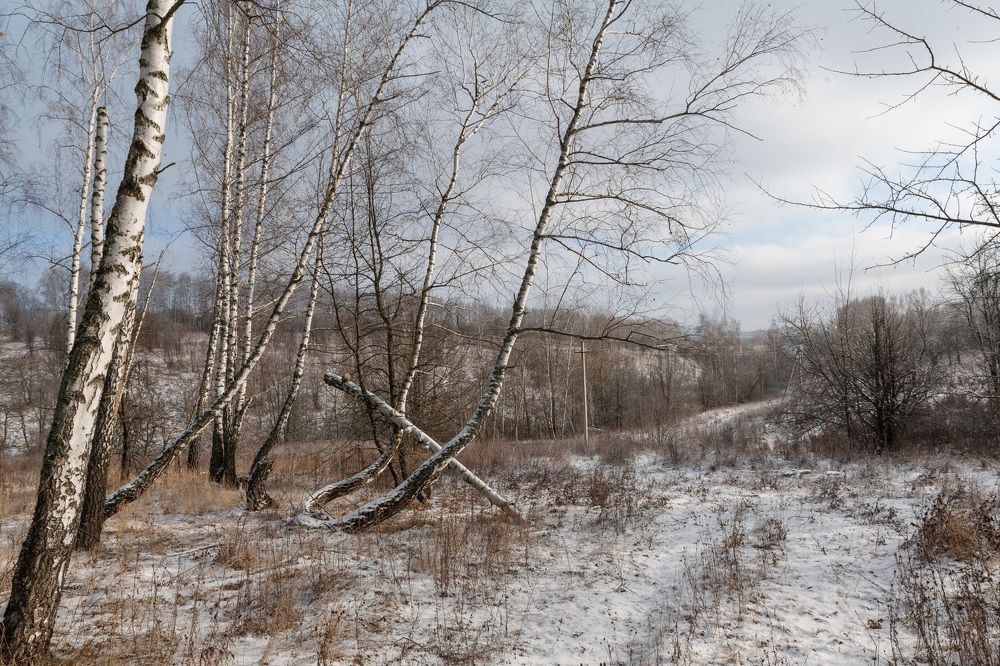 Photograph by Евгений Евдокимов