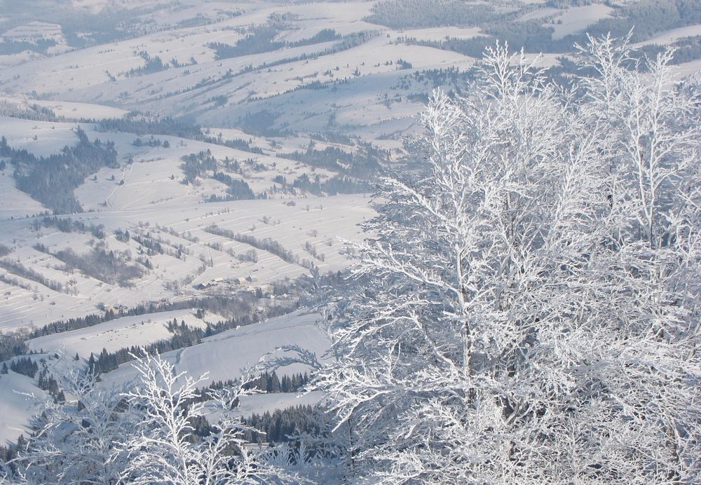 Полонина Боржава.