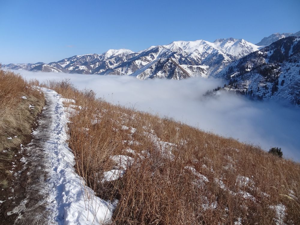 На границе с облаками