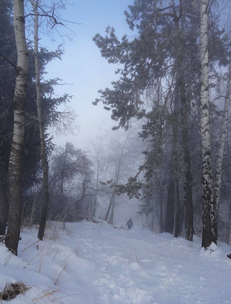 Туман в горах