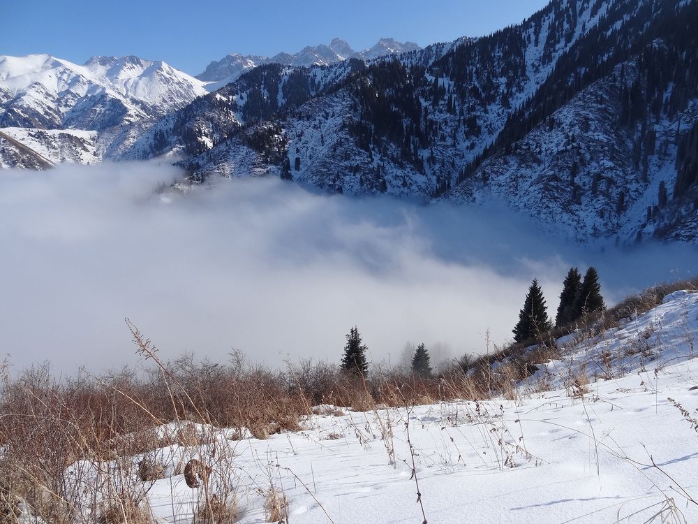 Облако в горах