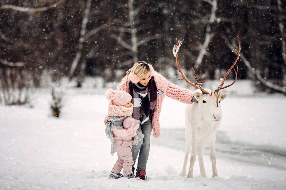 Встреча с Оленем