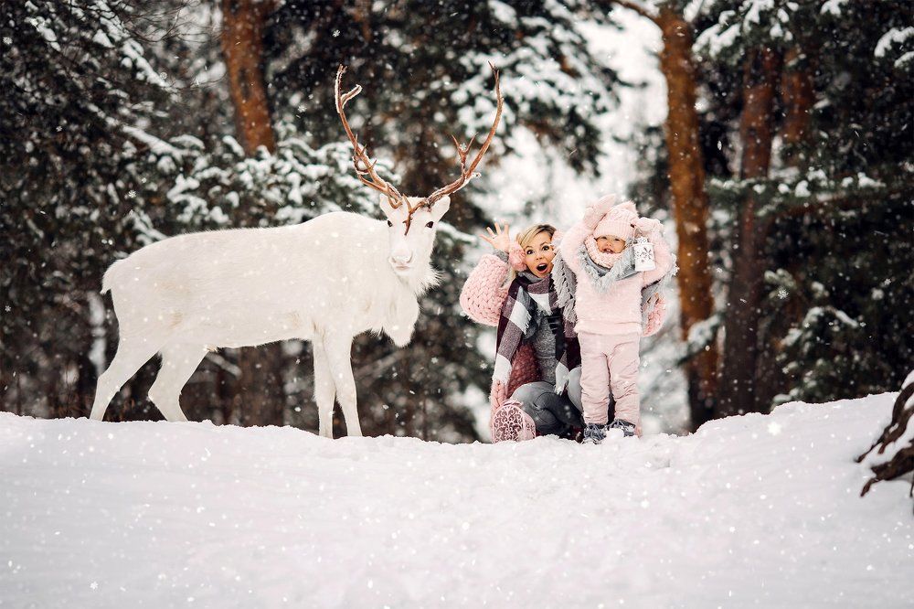 Кто здесь самый рогатый?