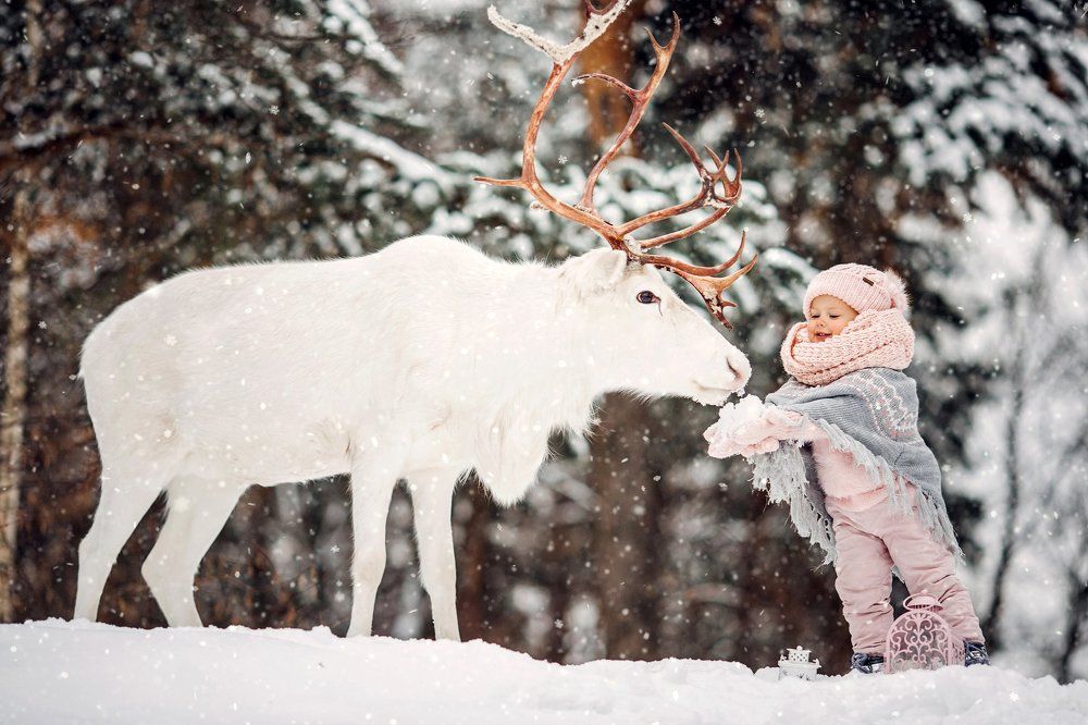 Сладкая парочка