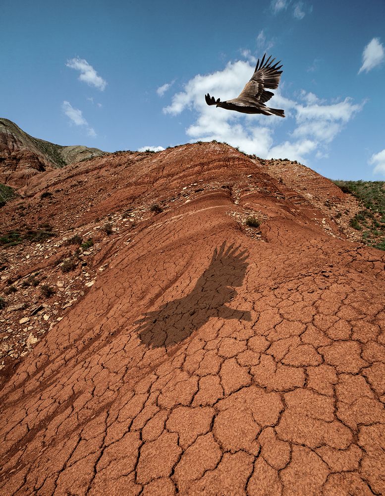 Обгоняя собственную тень...