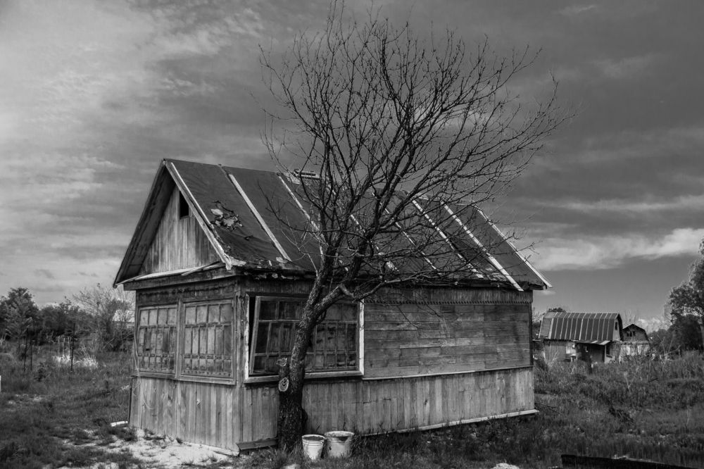 Photograph by Дмитрий Медянников