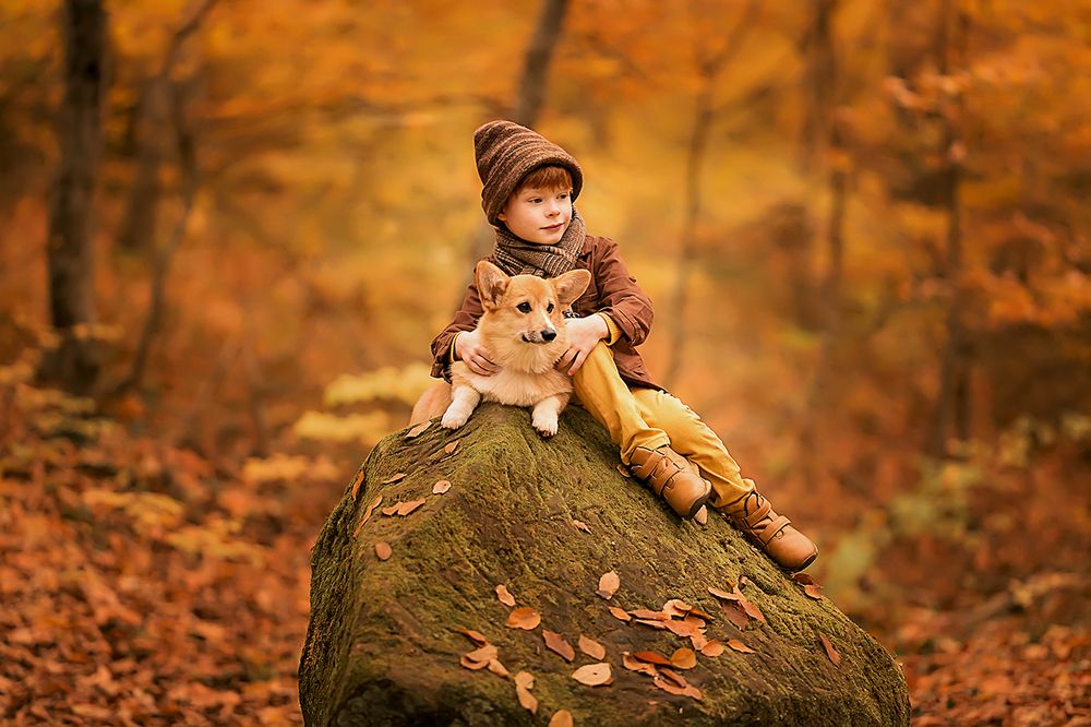 Осенние истории