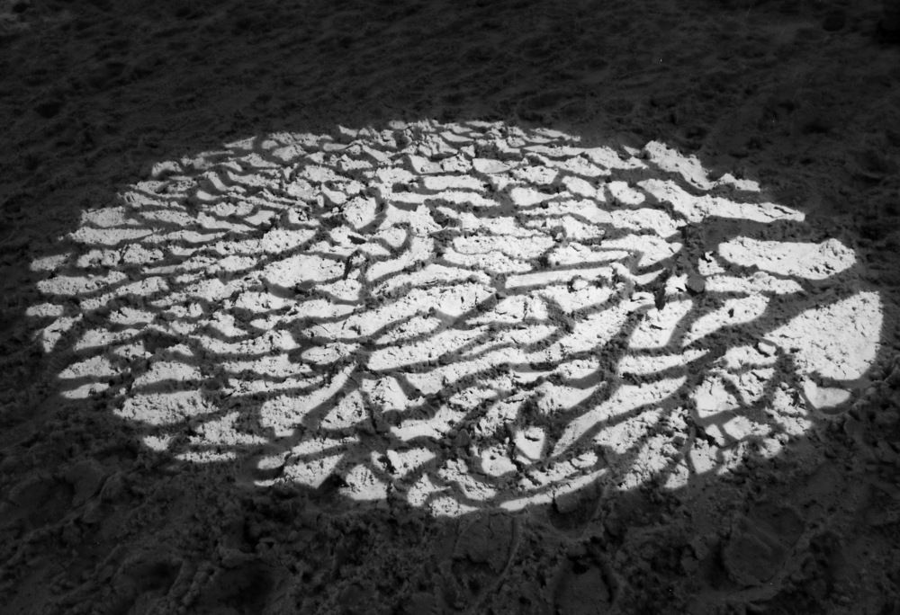 Тень на плетень.