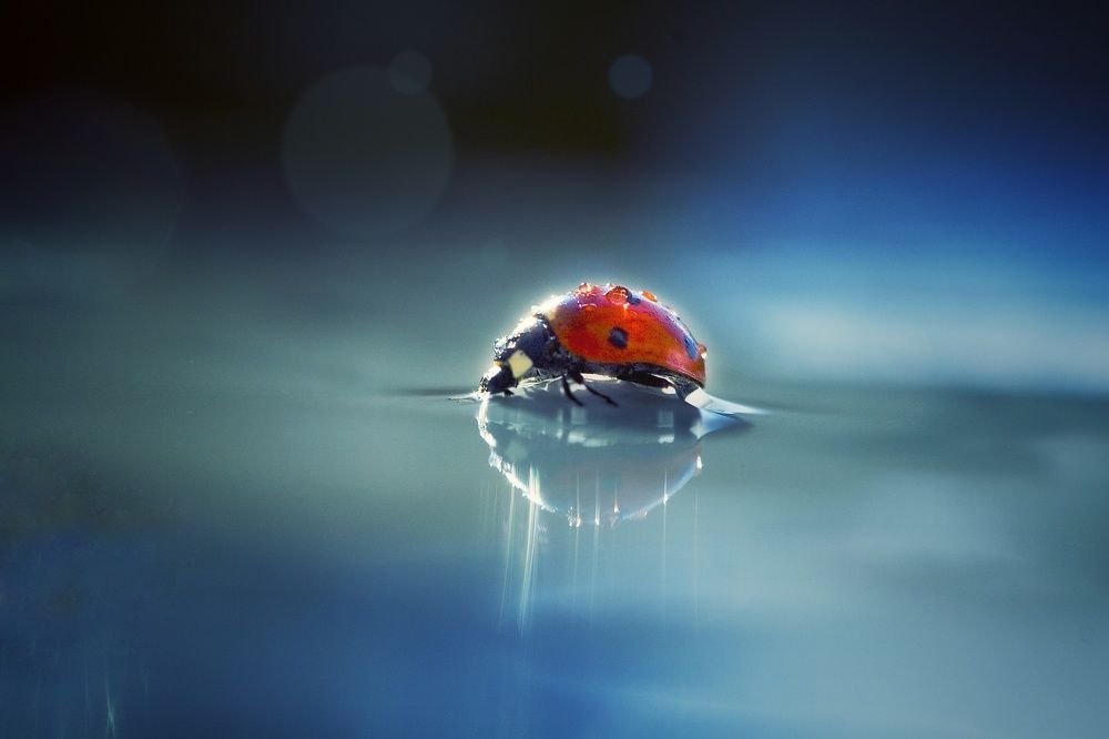 Пешком по воде