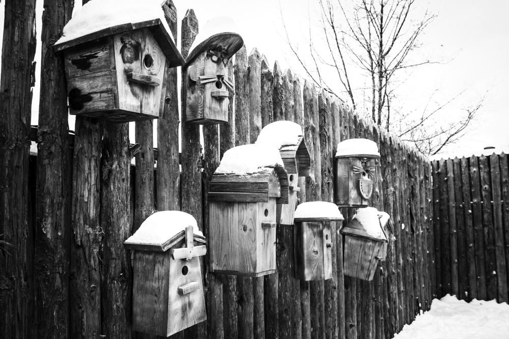 Скворечники