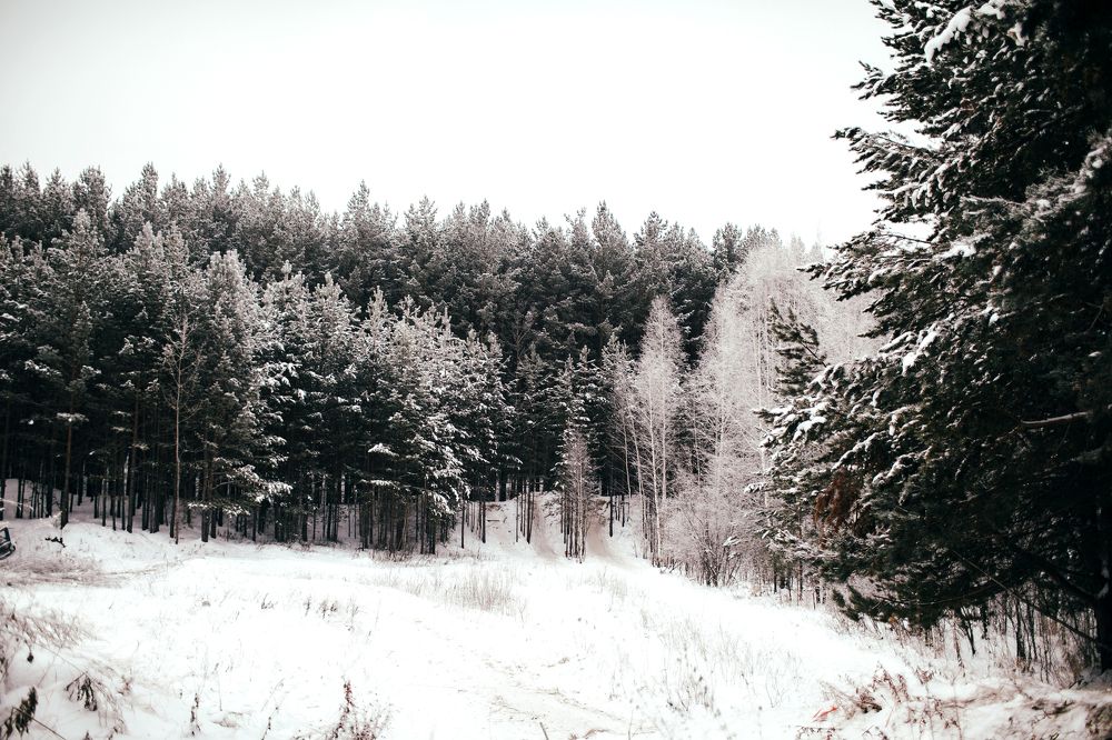 Тюмень горки