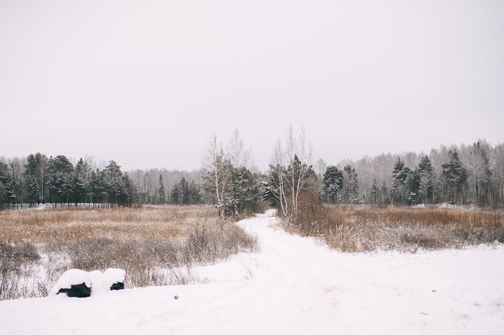 Зима она прекрасна
