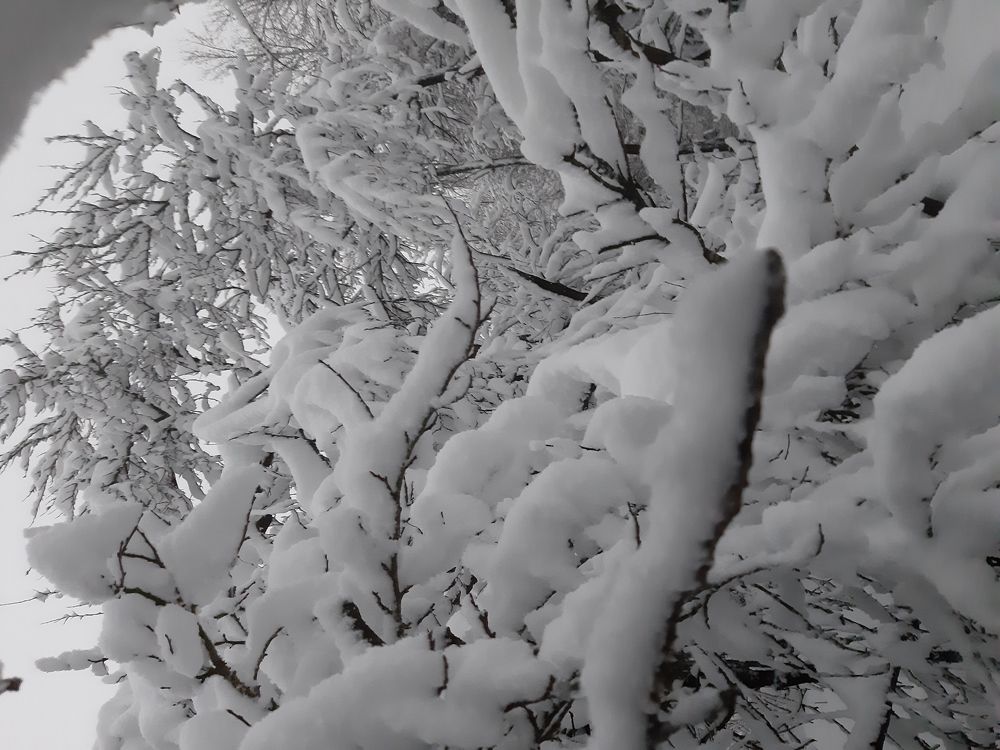 Photograph by Юлия