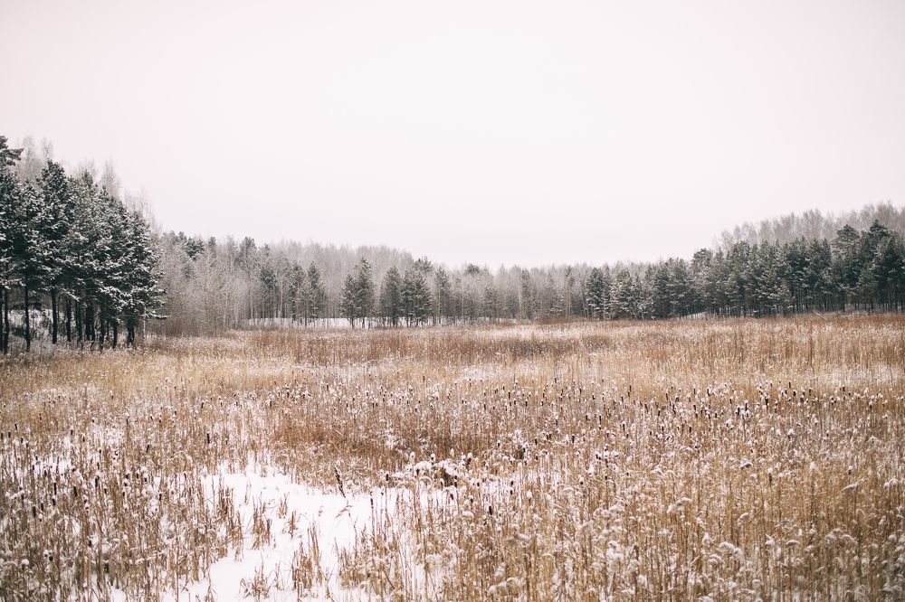 Дыхание свежести