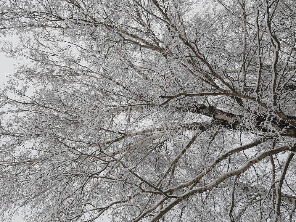 Photograph by Юлия