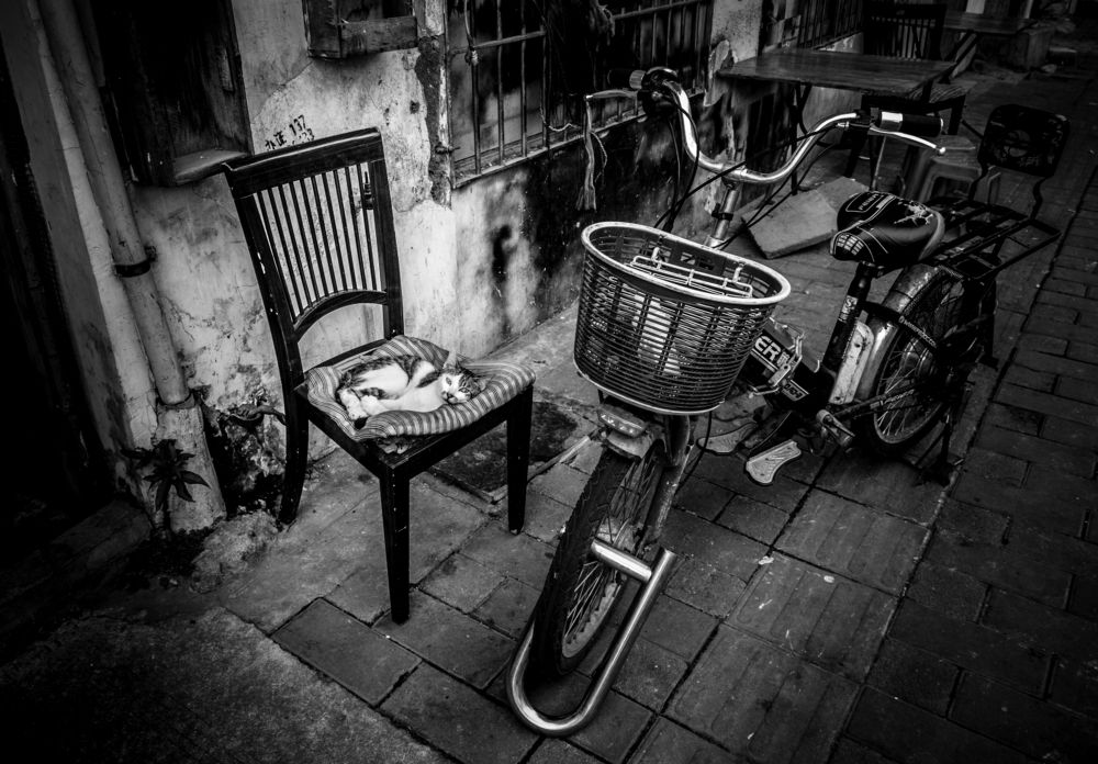 Мотосторож