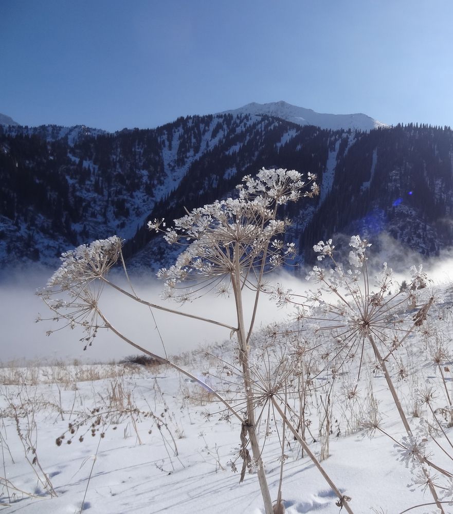 Горный пейзаж с облаками