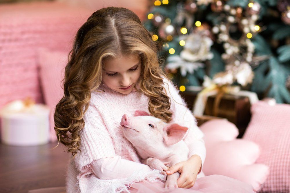 Милый символ 2019 года