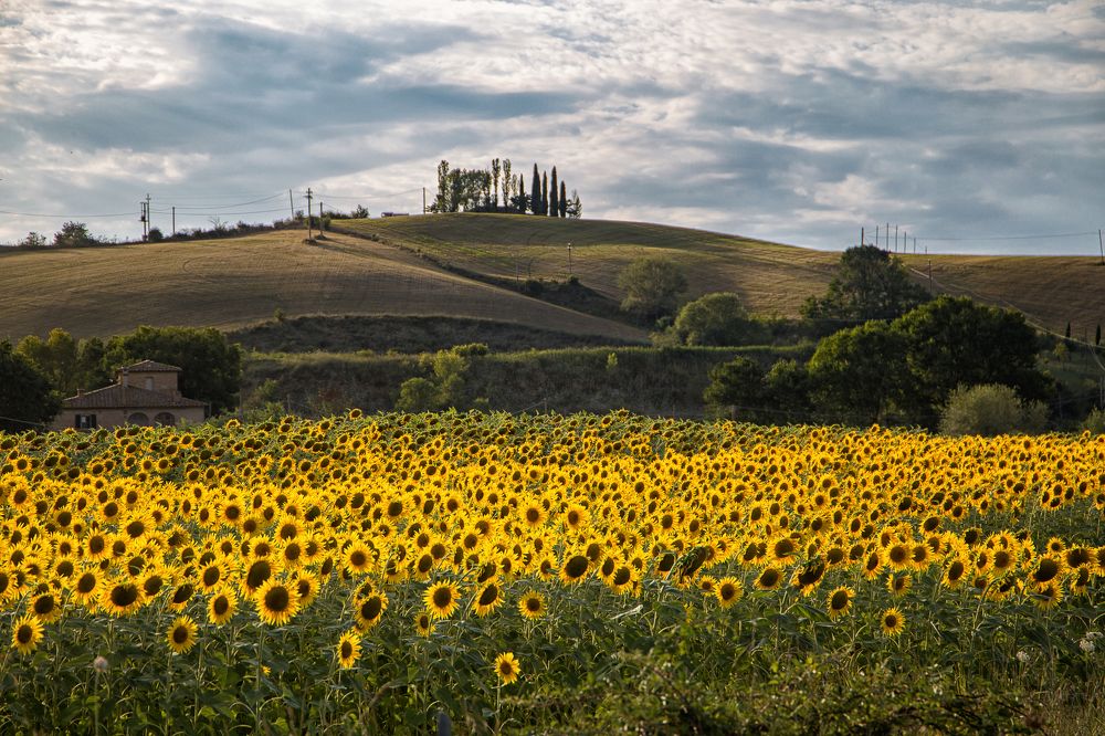 Photograph by Мария Трещева