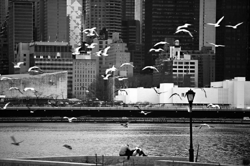 Свадьба в большом городе