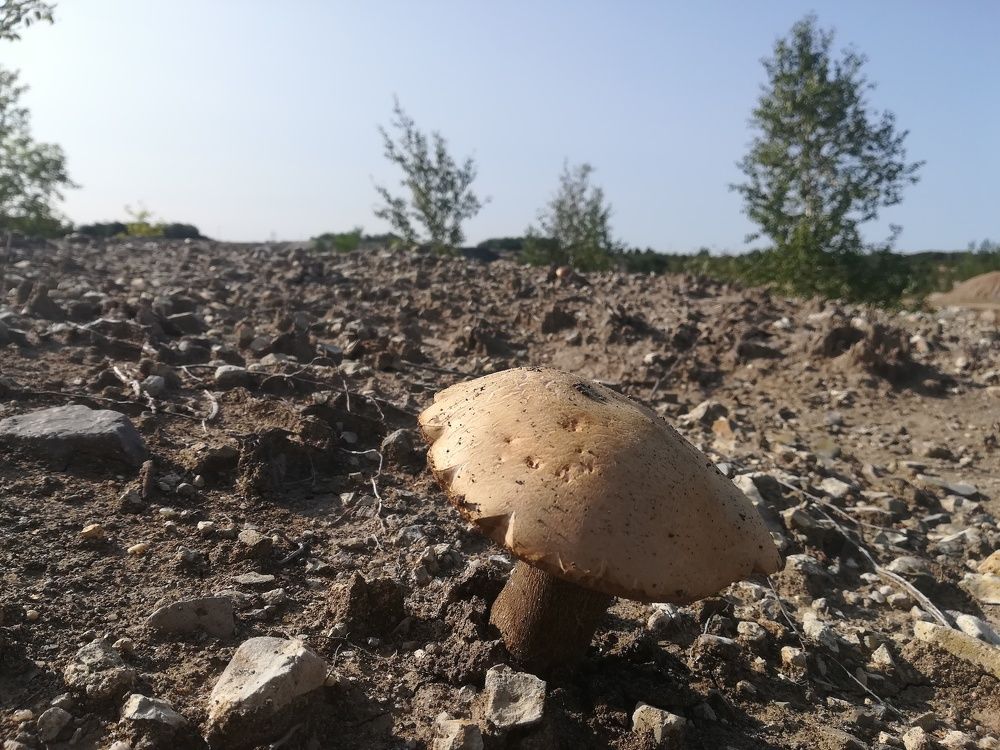 Уральский Марс