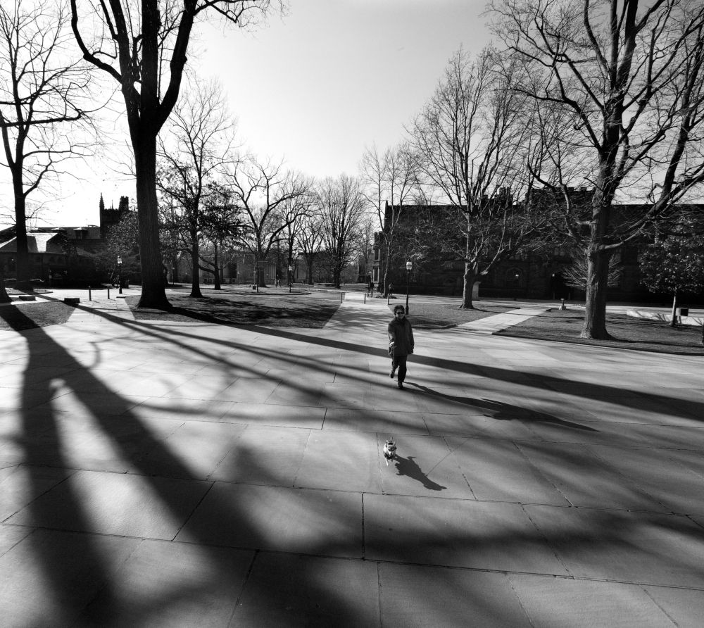 Весенние тени