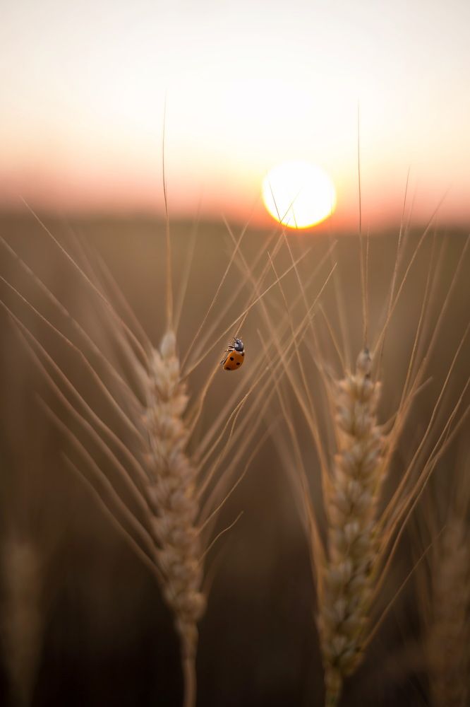Photograph by Наталия Мамаева