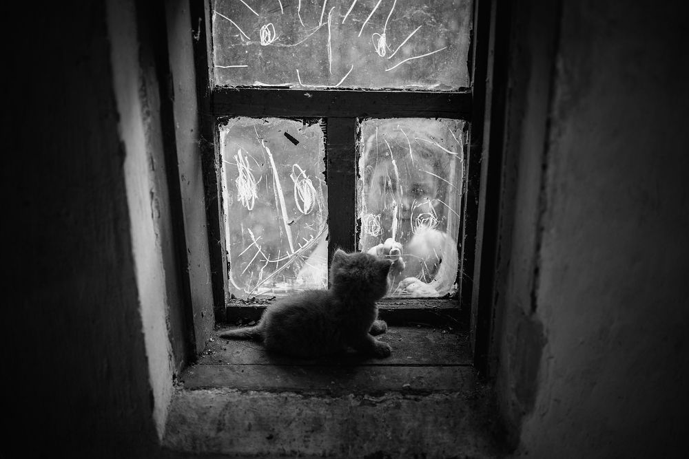 От улыбок станет всем светлей